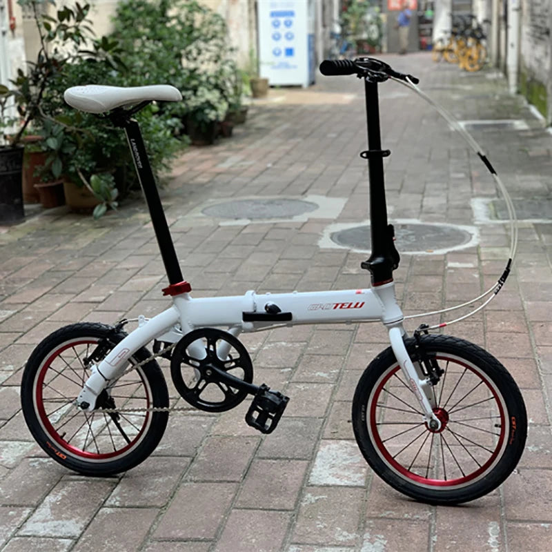 Single Speed Folding Bike