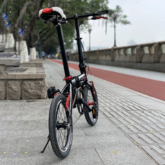 Single Speed Folding Bike