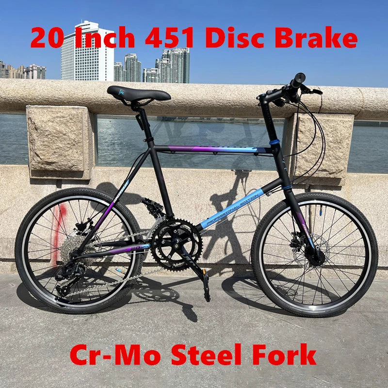 20 Inch 451 Small Wheel Diameter Frame