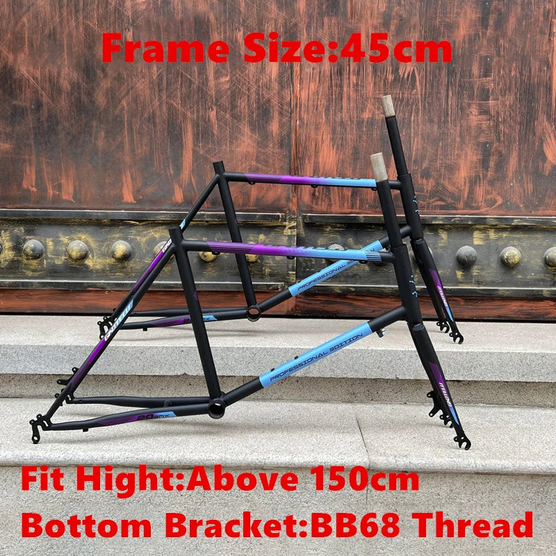 20 Inch 451 Small Wheel Diameter Frame