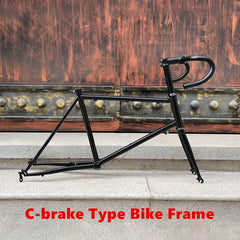 20 Inch 451 Small Wheel Diameter Frame