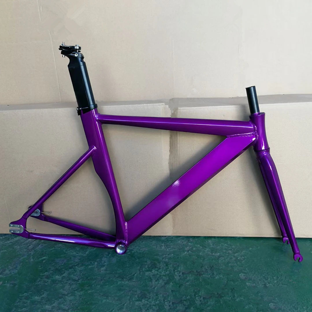 Aluminum Alloy Fixed Gear Frameset Single Speed with Fork