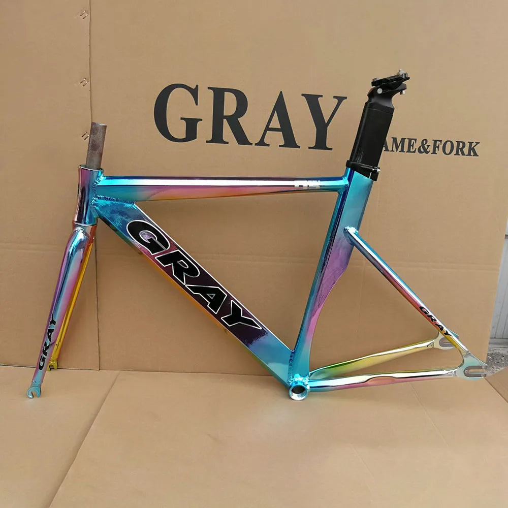 Gray Fixed Gear Frame Aluminum Alloy with Carbon Fiber Fork