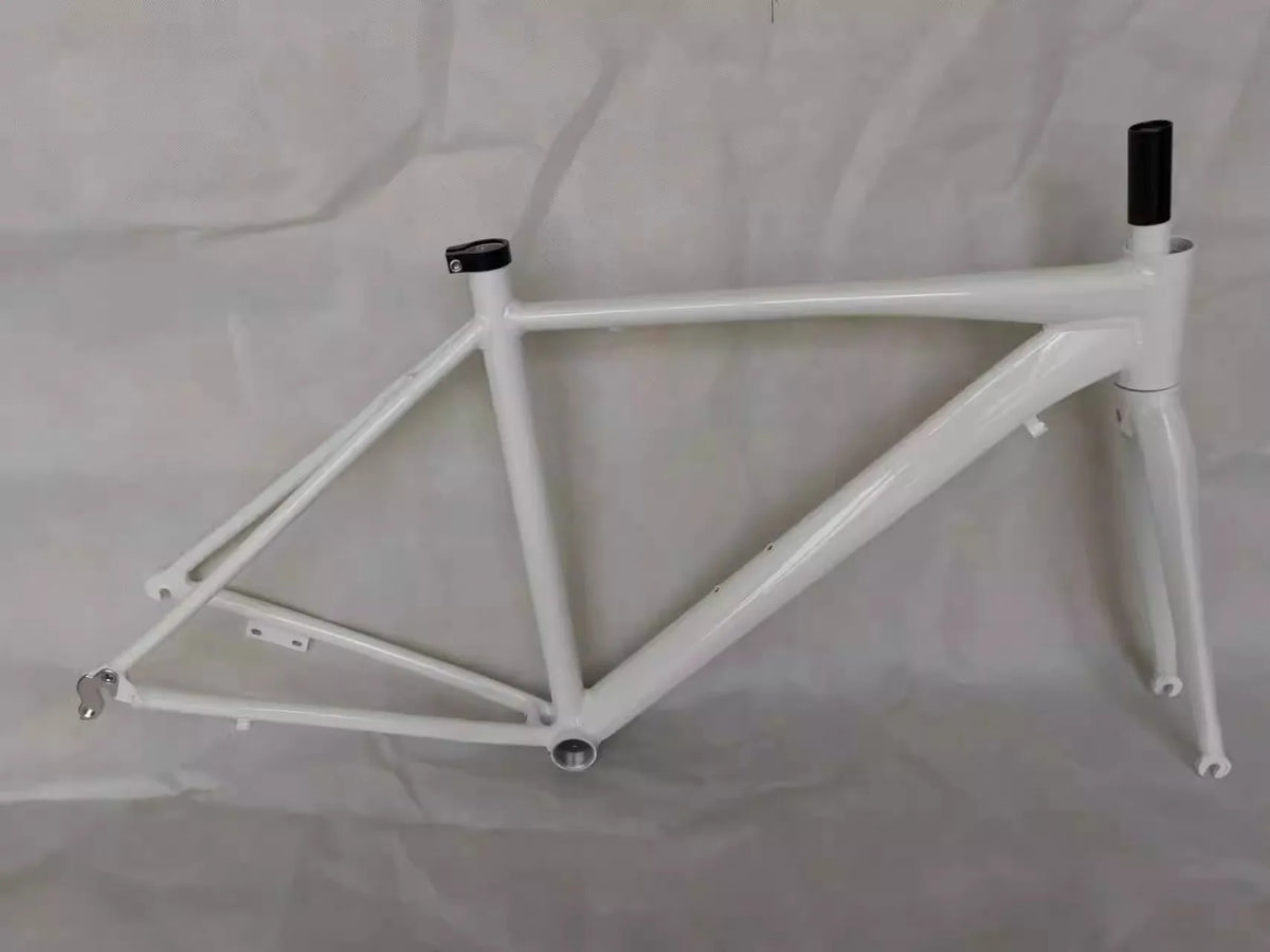 DISC BRAKE ROAD BIKE FRAME