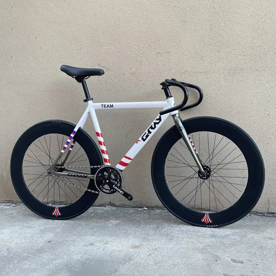 GRAY TEAM BICYCLE