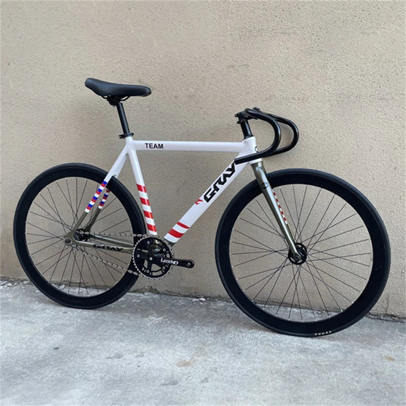 GRAY TEAM BICYCLE